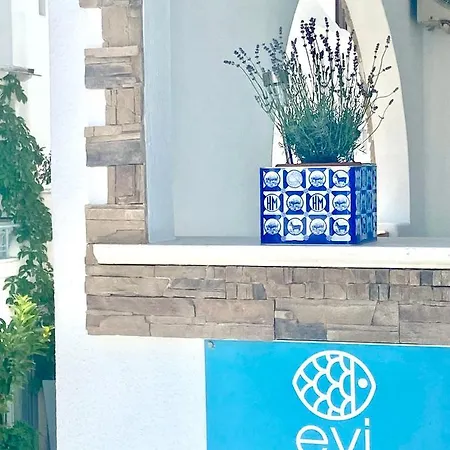 Отель Evi & Naxos City
